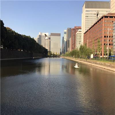 pk10赛车手机app下载